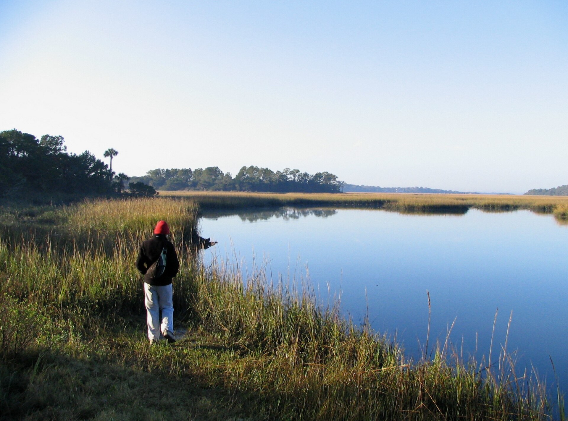 Myrtle Creek water and salt-marsh banks at Little Talbot Island