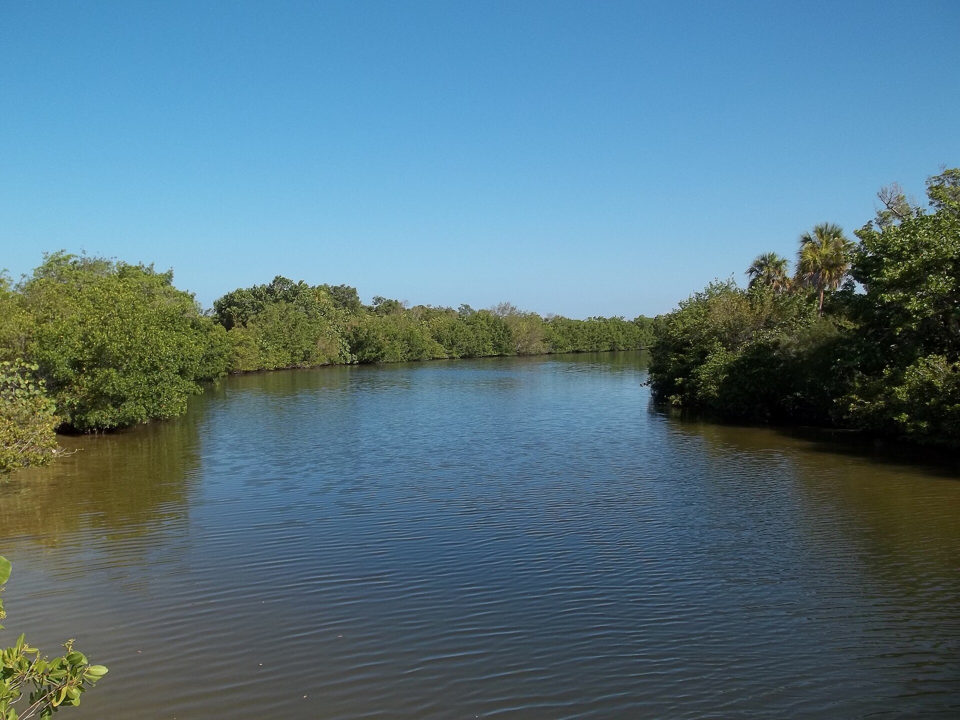 Sheltered mangrove waterway at Lovers Key State Park