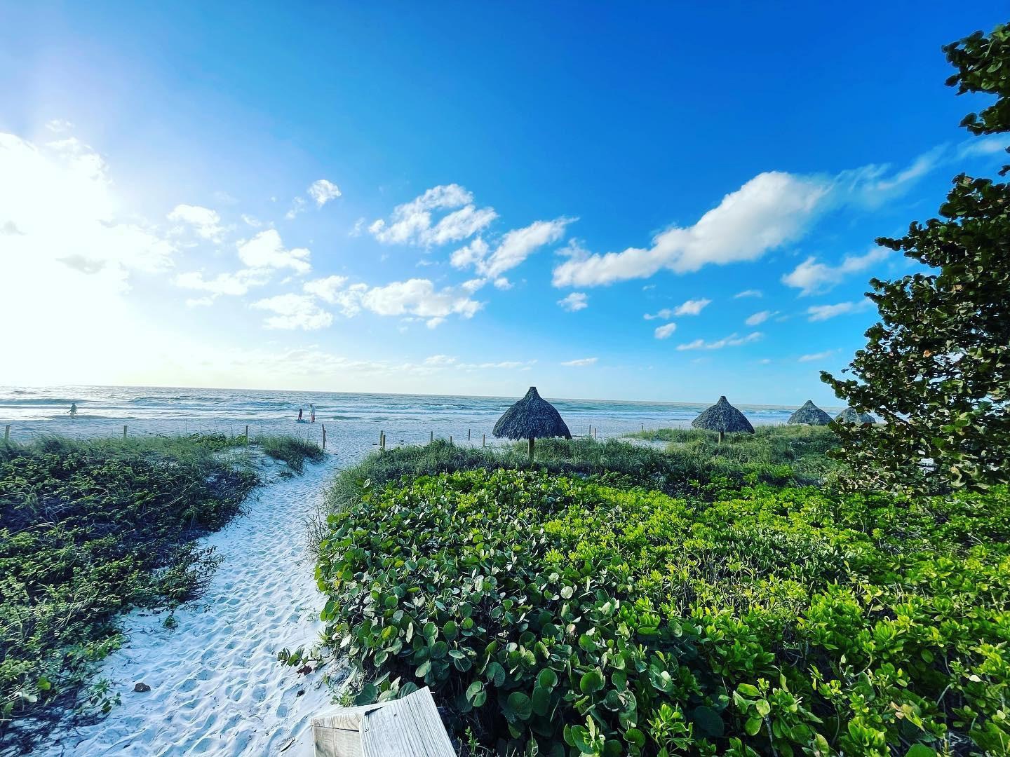 Sandy path through coastal vegetation toward Lowdermilk Park beach