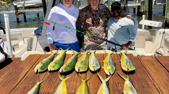 Mahi catch at the dock with Chaos Fishing Charters