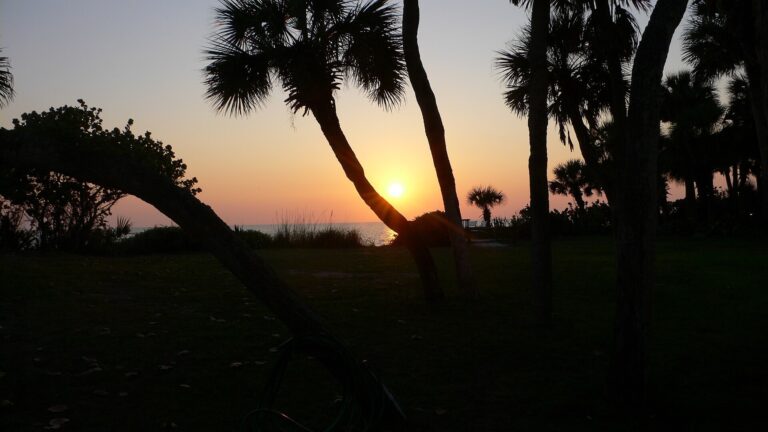 Palm silhouettes and sunset over the Gulf at Manasota Key