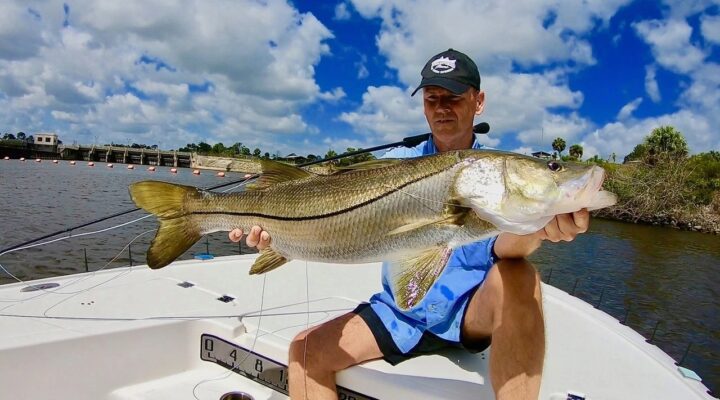 Mauri Fly Fishing angler displaying a snook