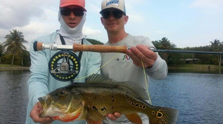 Miami Flats fly angler holding a peacock bass