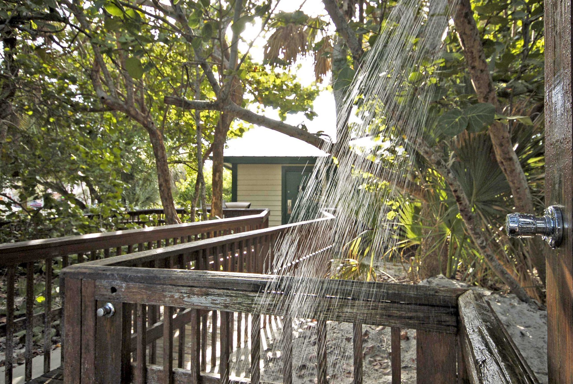 Wooden walkway through coastal trees at North Gulfshore Beach Access