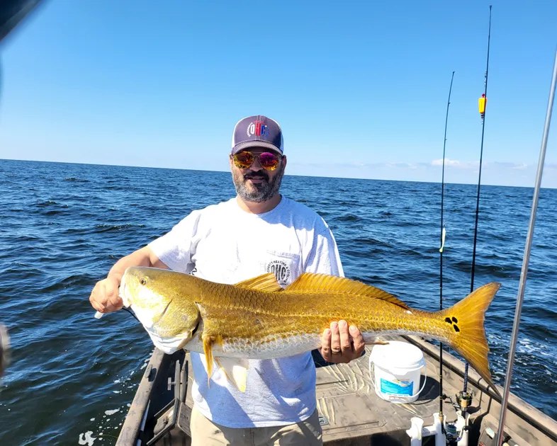 Outpost Alpha Fishing Charters angler holding a redfish