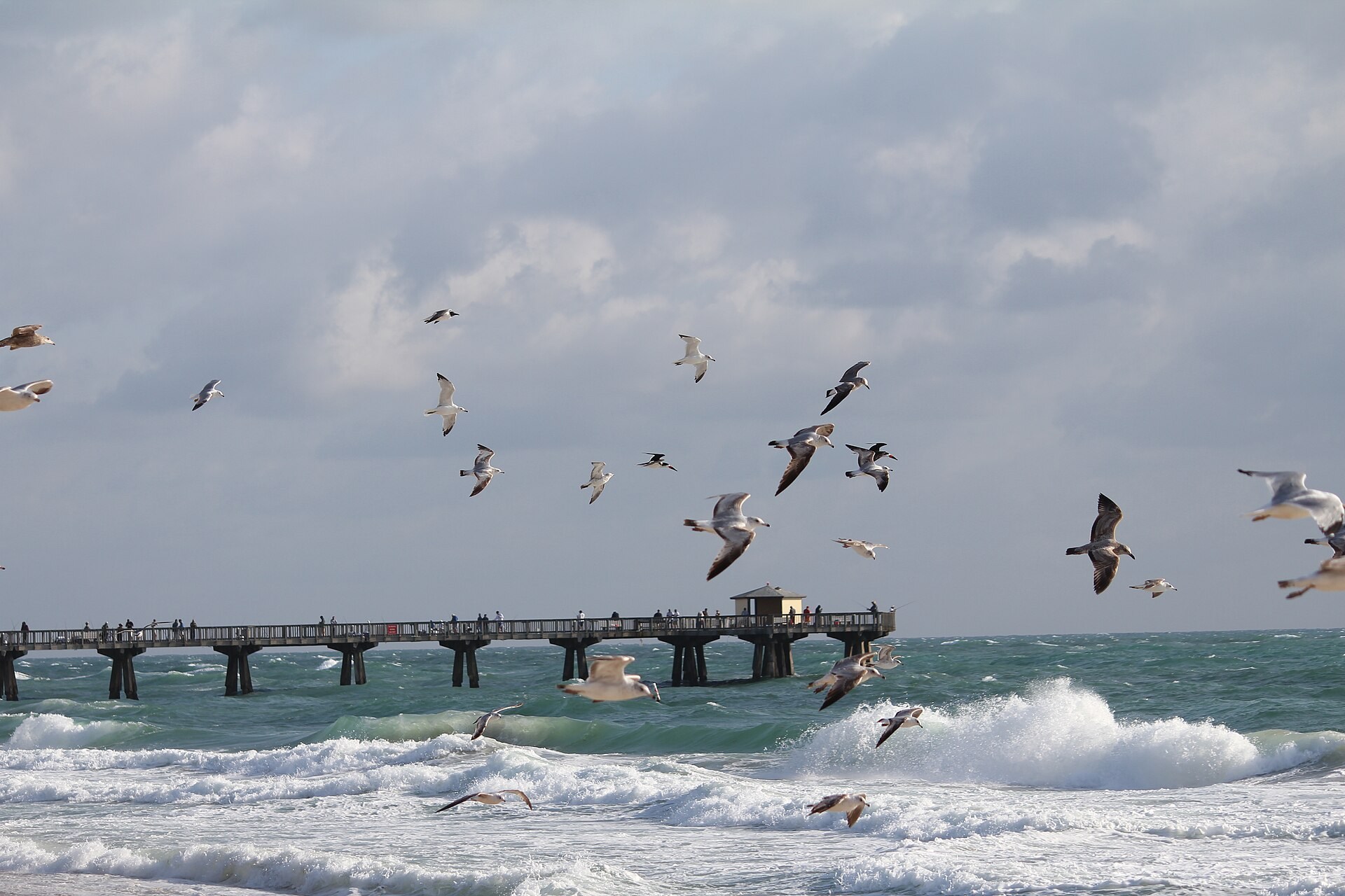 Historic Pompano ocean pier with flying birds and breaking surf