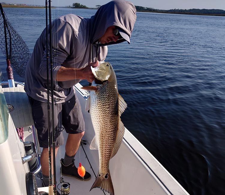 Redfish brought alongside the Rocketman charter boat