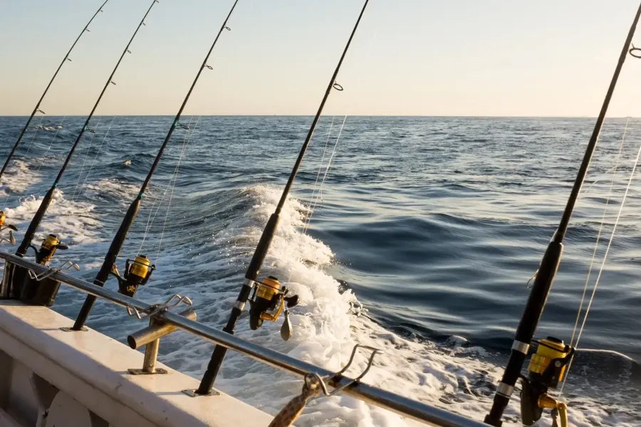 Rigged fishing rods along the side of the Fish N Fun boat