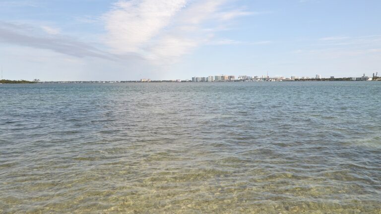 Shallow Sarasota Bay water with the city skyline in the distance in January 2023