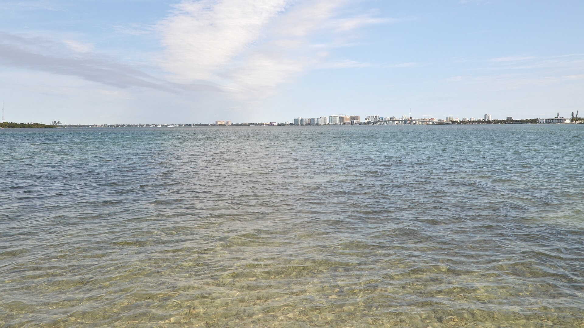 Shallow Sarasota Bay water with the city skyline in the distance in January 2023