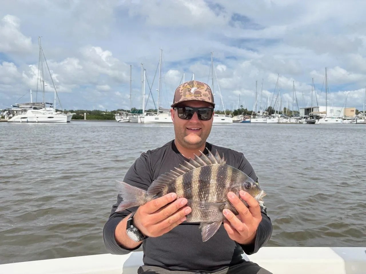 Sheepshead caught on a Back At It charter in St Augustine