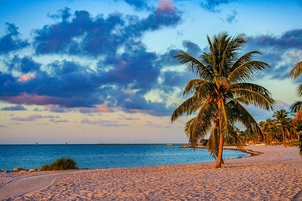 Palm tree beside Smathers Beach in evening light