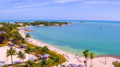 Aerial view of palms and curving shoreline at Sombrero Beach