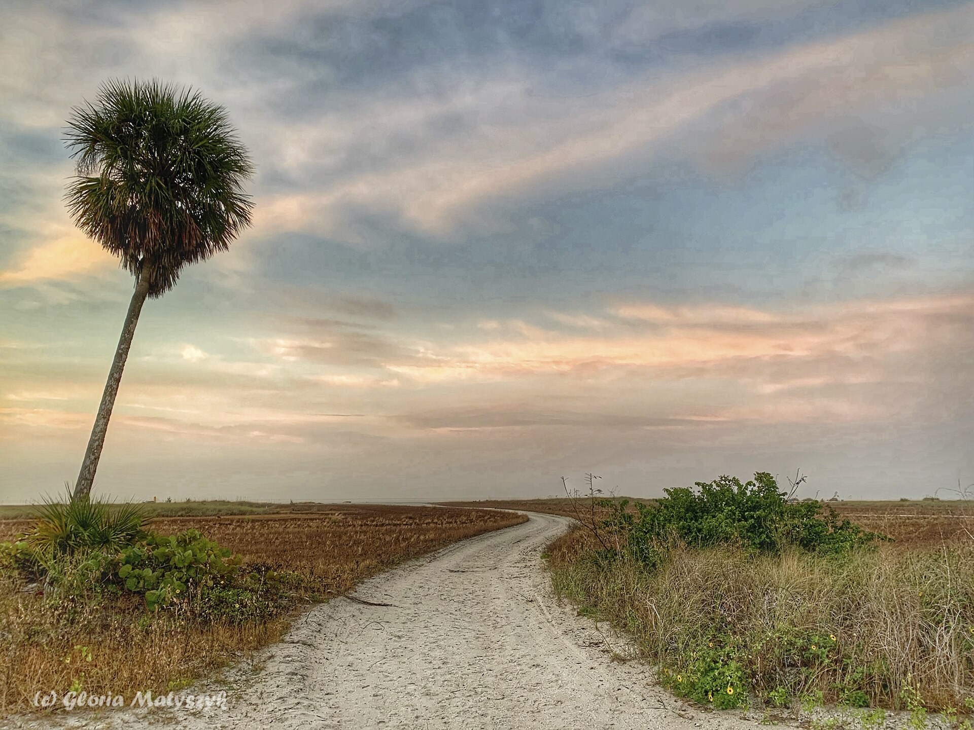 A sandy beach access path, coastal grass and palm at Treasure Island