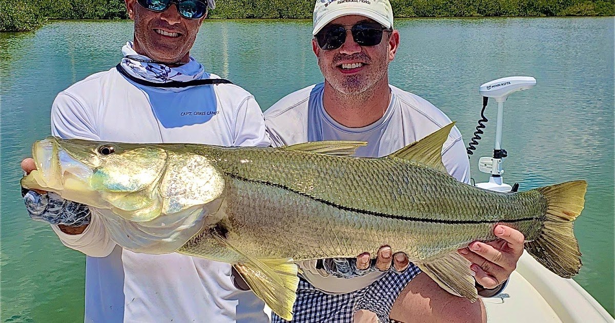 Two anglers displaying a snook on a Triple C Charters trip