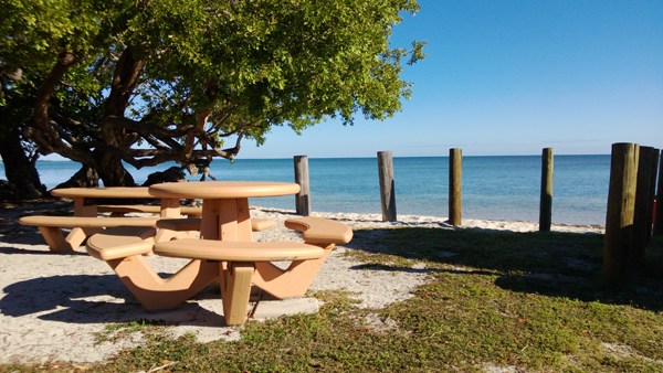 Picnic table beside coastal water at Veterans Memorial Park