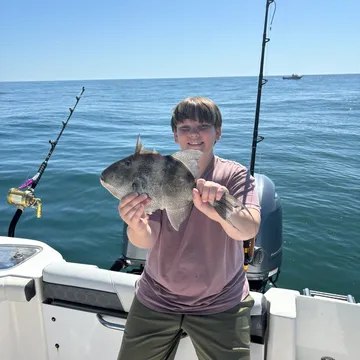 Young angler displaying a triggerfish on a Twisted Palms trip